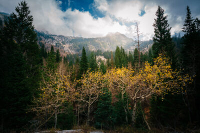 Wasatch Mountains Autumn