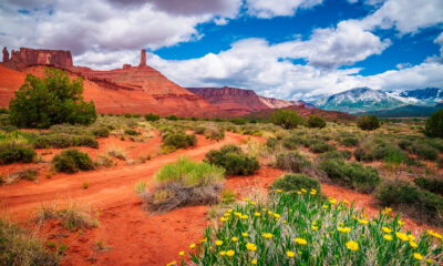 Moab and Surroundings