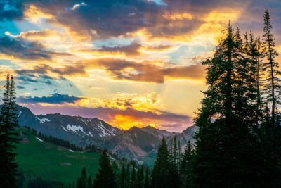 Albion Basin Summer