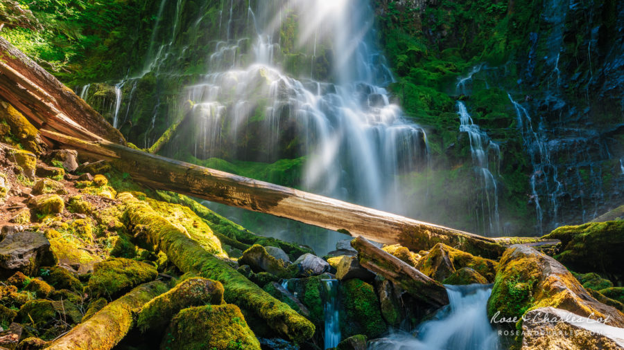 Photo of the Day – Afternoon at Proxy Falls in Oregon