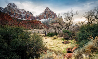 Zion National Park