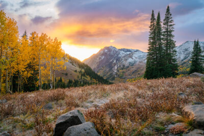 Albion Basin Fall